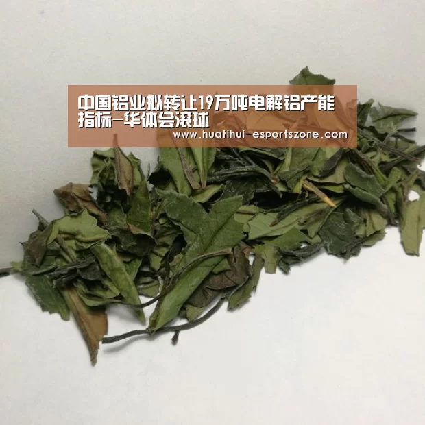 中国铝业拟转让19万吨电解铝产能指标-华体会滚球(图1) 华体会亚洲体育